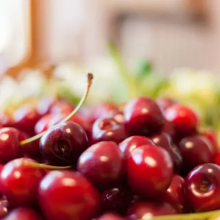 Daire Casa Biagiotti Cortona