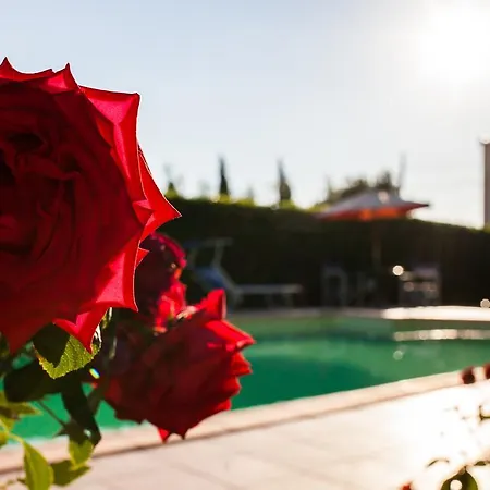 比亚焦蒂公寓 * 哥尔顿